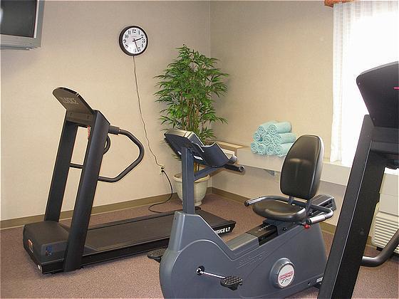 Holiday Inn Express & Suites Gibson By Ihg New Milford Servizi foto